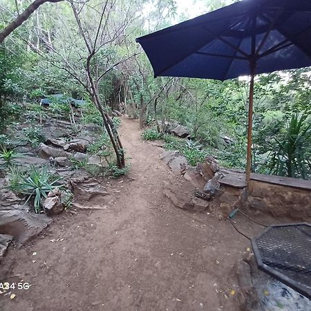Adorable Unique Guest House - African Bush Feel Kalkheuvel المظهر الخارجي الصورة