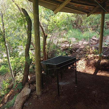 Adorable Unique Guest House - African Bush Feel Kalkheuvel المظهر الخارجي الصورة
