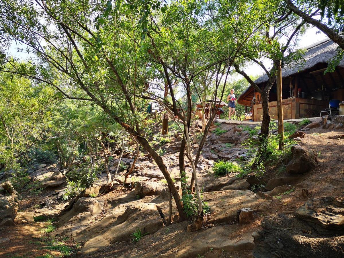 Adorable Unique Guest House - African Bush Feel Kalkheuvel المظهر الخارجي الصورة