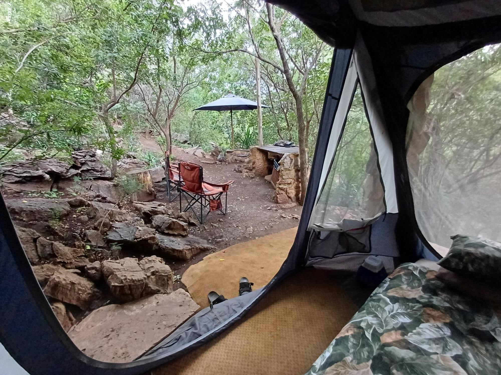 Adorable Unique Guest House - African Bush Feel Kalkheuvel المظهر الخارجي الصورة
