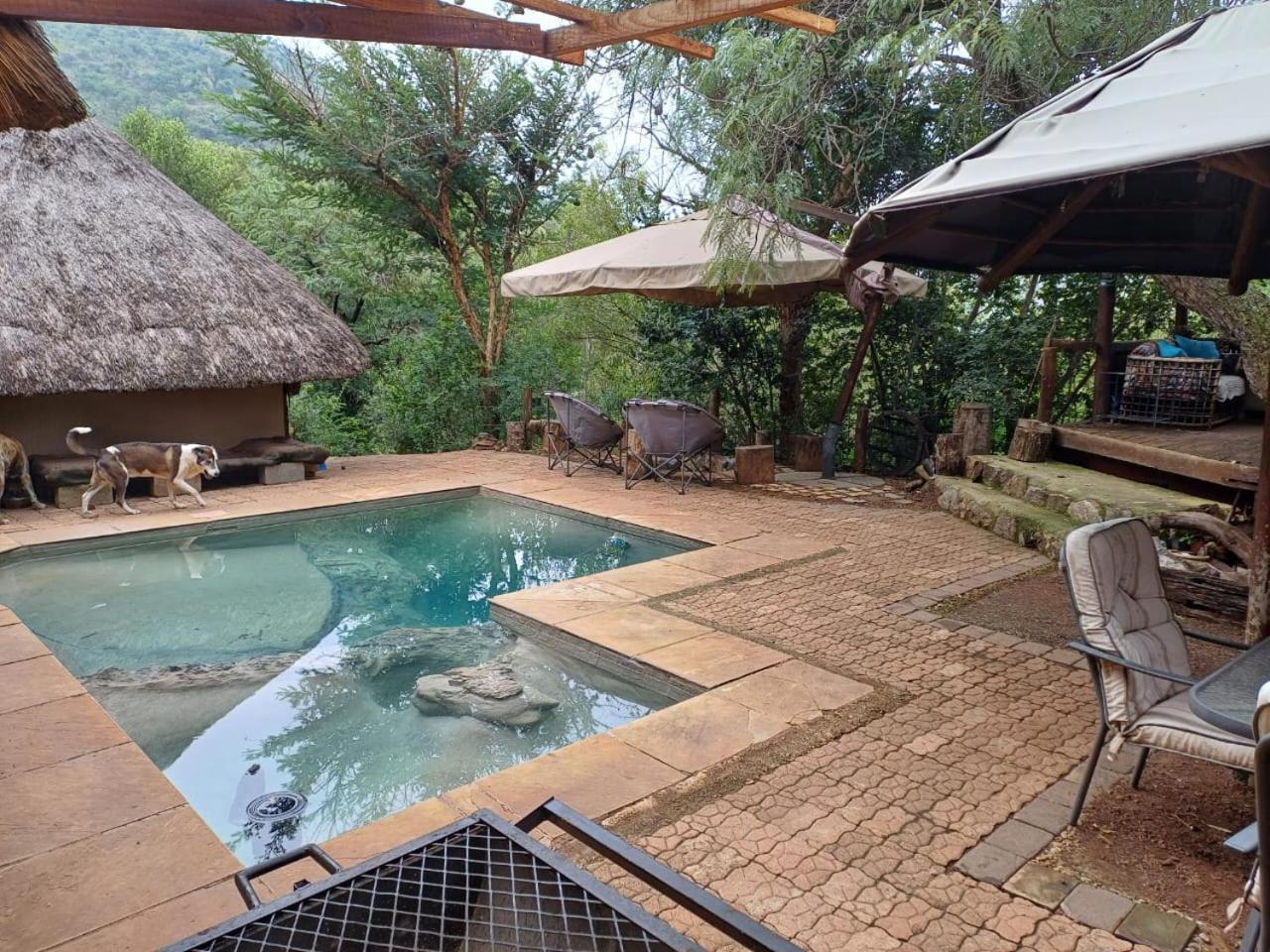 Adorable Unique Guest House - African Bush Feel Kalkheuvel المظهر الخارجي الصورة