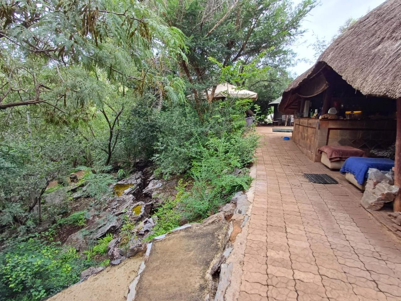 Adorable Unique Guest House - African Bush Feel Kalkheuvel المظهر الخارجي الصورة